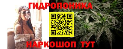 эйфоретик Берёзовский