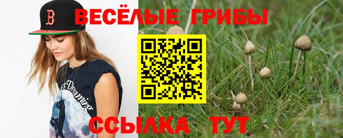 Псилоцибиновые грибы GOLDEN TEACHER Воркута